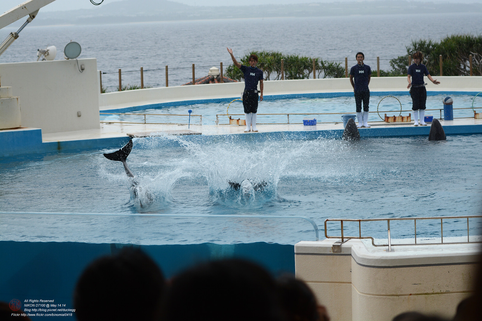 DSC_3012.jpg